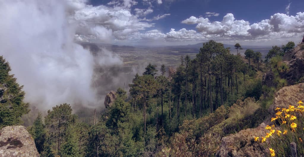 Parque-natural-el-rey-Fotográfo-Ignacio Arcas